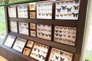 پانسیون 拉拉山周家渡假旅館