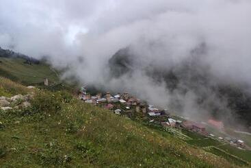 פנסיון Nino & Tarzan Guesthouse