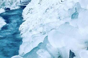 تختخواب و صبحانه Dimon