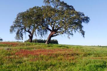 تختخواب و صبحانه Rural House