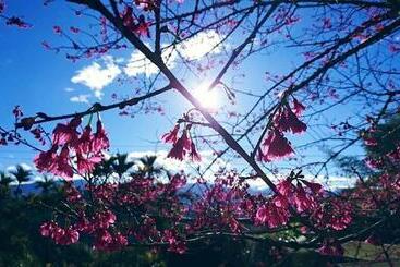 تختخواب و صبحانه 仲明居zhong Ming Ju Taoyi Fang