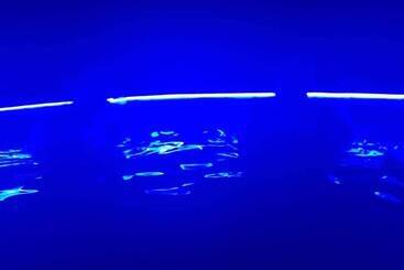 Pensjonat Casa Viorica și Luis