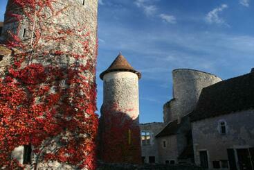 مبيت وإفطار Chateau D Ingrandes