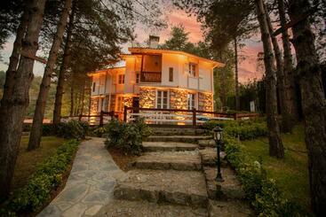 تختخواب و صبحانه Karakaya Villa Suite