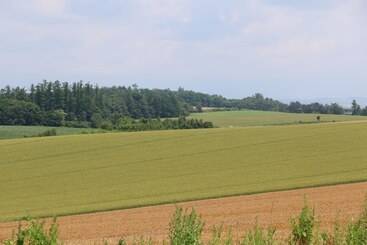 مبيت وإفطار Pension Ken&mary