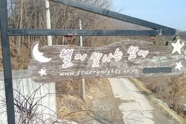 Пансион Starrynights