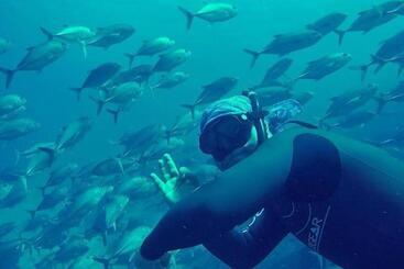 בית מלון כפרי Kurma Eco Beach Lodge