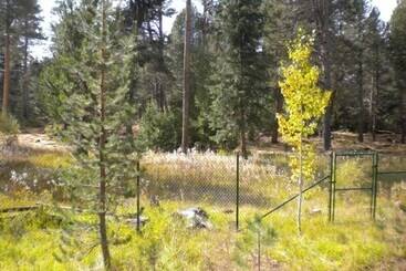 דירות לתיירים 2853 Springwood Dr