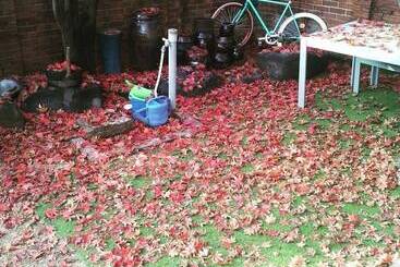 ペンション Hans House