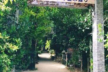 דירה Wisteria Condominium Resort