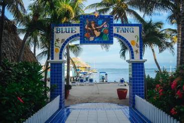 هتل Blue Tang Inn