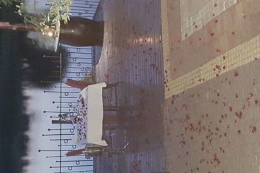 فندق Silver Streams Lodge & Spa