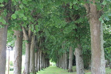 تختخواب و صبحانه La Maison De Bayeux
