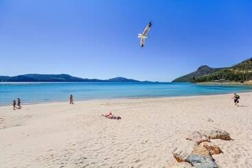 آپارتمانهای توریستها Pinnacle Apartments Hamilton Island