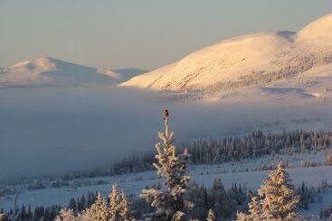 فندق Buustamons Fjällgård
