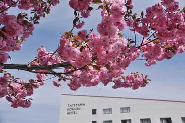 Hotel Tateyama Kokusai