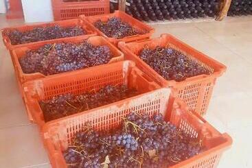 膳宿费 Agriturismo Fuoco D Amalfi Villa Iazzetta