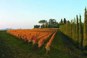هتل Villa Loggio Winery And Boutique