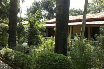 Sauraha Resort