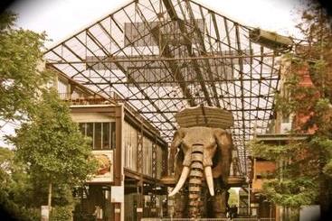 관광객 아파트 Surprenantes   Voyage En Ballon