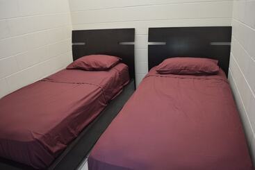 هاستل Frogshollow Backpackers