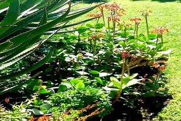 مبيت وإفطار De Wingerd Wijnland Lodge