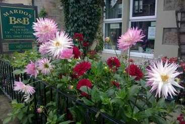 تختخواب و صبحانه Mardon Guest House