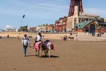 ベッドアンドブレックファースト The Lanes