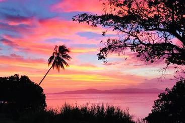 Villaer Taveuni Palms