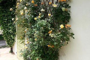 هتل Caterina Residence