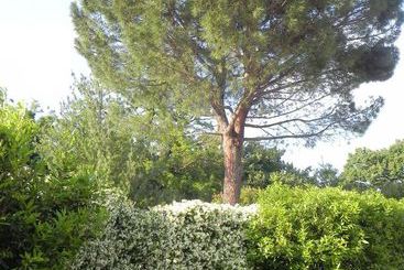 هتل Caterina Residence