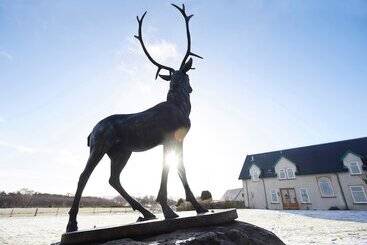 مبيت وإفطار Daviot Lodge