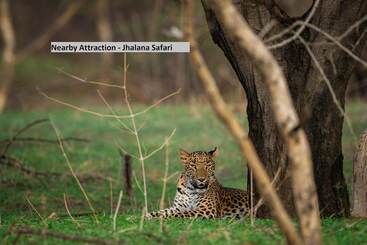 Collection O Hotel Blue Bird