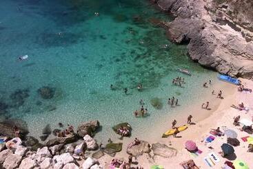 ベッドアンドブレックファースト Arcona