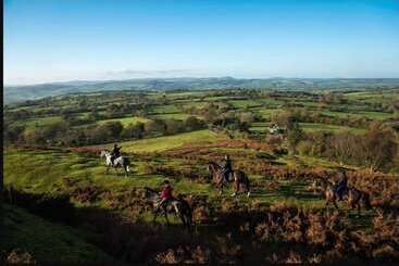 酒店 The Pheasant At Neenton