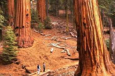 Сельский дом Scenic Wonders Yosemite View 3 Bedrooms