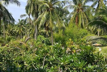 관광객 아파트 Maenam Hills Samui