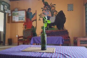 پانسیون Golden Monkey Guest House