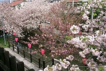 ホテル Tabino Yado Satsuki