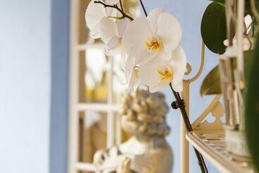 בית מלון כפרי The Angels Place Boutique Guest House