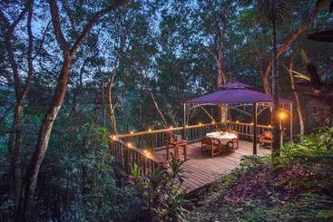 酒店 Table Rock Jungle Lodge