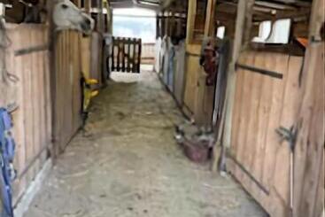 פנסיון Gites Du Tuco