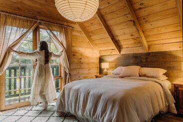 هاستل The Quarters