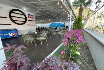 בית מלון כפרי Triho