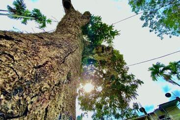 פנסיון Jetuka Villa   Sibsagar