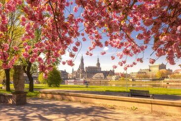 Отель Apartmenthaus Stadt Metz