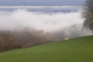 酒店 Pension Zur Schönen Aussicht