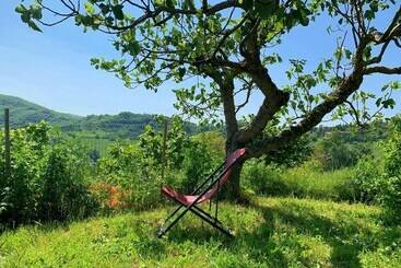 تختخواب و صبحانه Butterflies Rest