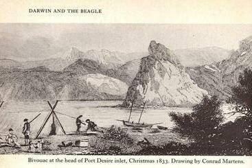 민박 Campamento Darwin