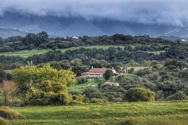 هاستل Surfhousegerra